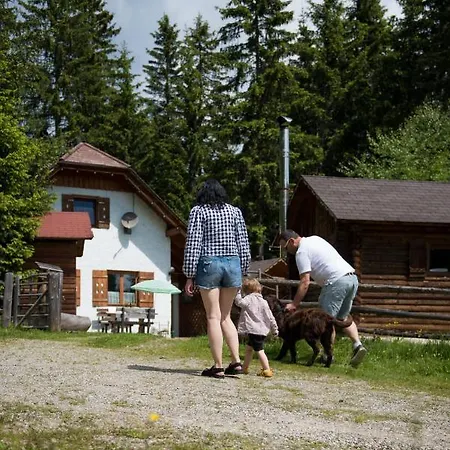 Chalet Katschwaldhuette *
