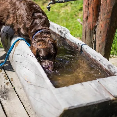 木屋 Katschwaldhuette *