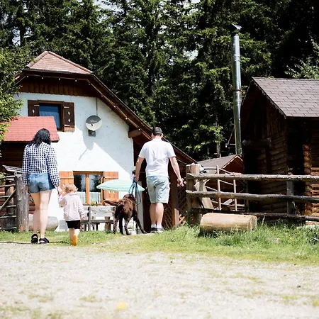 Chalet Katschwaldhuette *