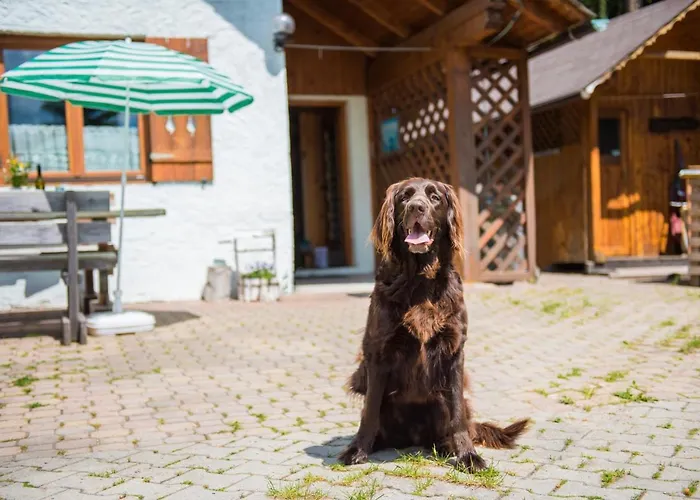 شاليه Katschwaldhuette Sankt Wolfgang