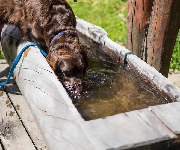 شاليه Katschwaldhuette *